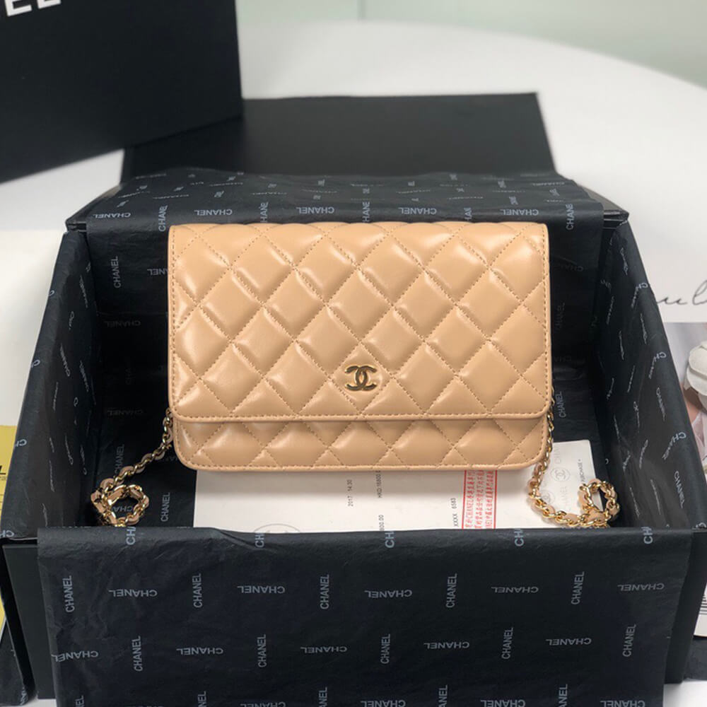 Ch*el wallet on chain