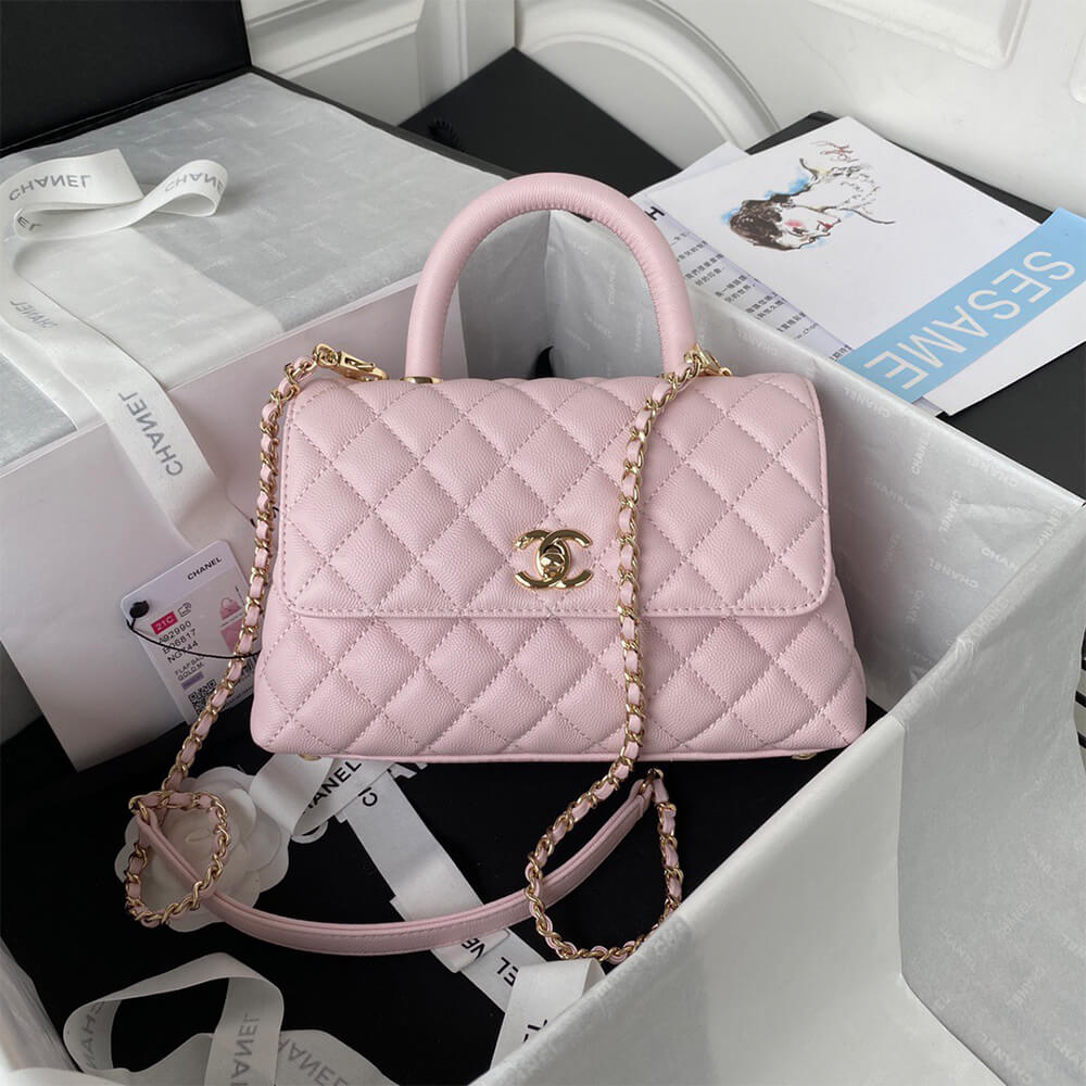 Ch*el coco handle bag small